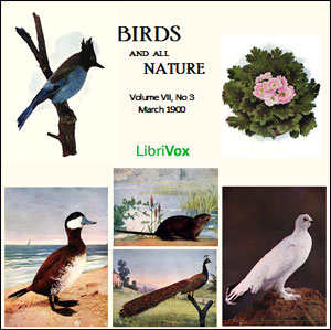Аудіокнига Birds and All Nature, Vol. VII, No 3, March 1900