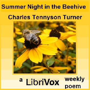 Аудіокнига A Summer Night in the Beehive