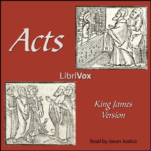 Аудіокнига Bible (KJV) NT 05: Acts (version 2)