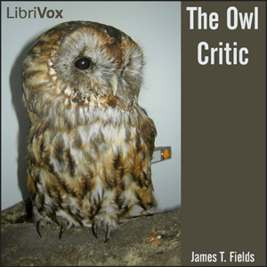 Аудіокнига The Owl Critic
