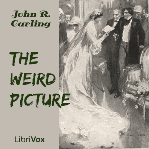 Audiobook The Weird Picture