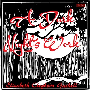 Audiobook A Dark Night's Work