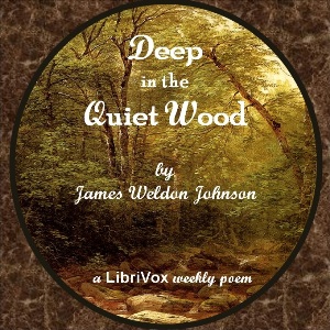 Audiobook Deep In The Quiet Wood