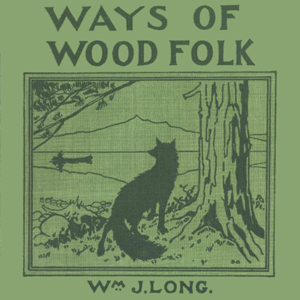 Аудіокнига Ways of Wood Folk