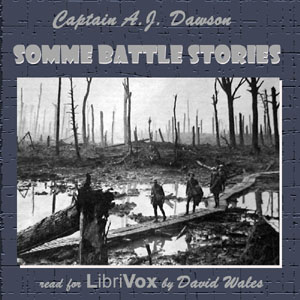 Audiobook Somme Battle Stories