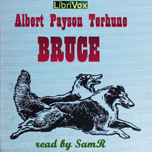 Audiobook Bruce