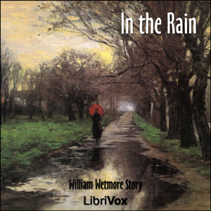 Audiobook In the Rain