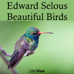 Аудіокнига Beautiful Birds