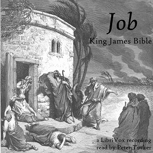 Audiobook Bible (KJV) 18: Job (version 2)