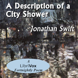 Audiobook A Description Of A City Shower