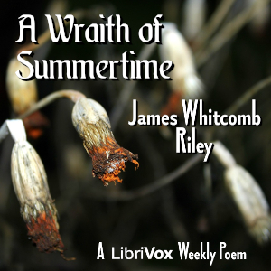 Audiobook A Wraith of Summertime