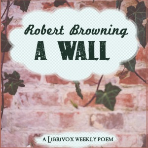Audiobook A Wall