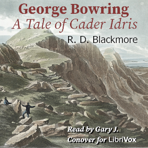 Аудіокнига George Bowring - A Tale Of Cader Idris