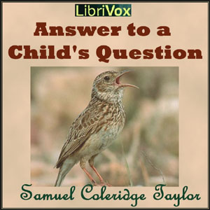 Audiobook Answer to a Child's Question