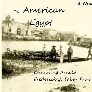 Аудіокнига The American Egypt
