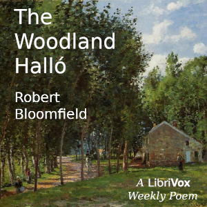 Audiobook The Woodland Halló