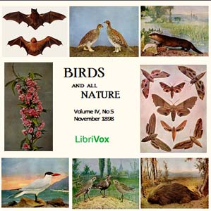 Audiobook Birds and All Nature, Vol. IV, No 5, November 1898