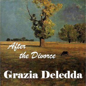 Audiobook After the Divorce