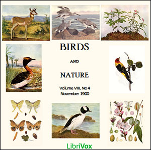 Аудіокнига Birds and Nature, Vol. VIII, No 4, November 1900