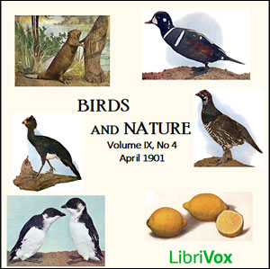 Аудіокнига Birds and Nature, Vol. IX, No 4, April 1901