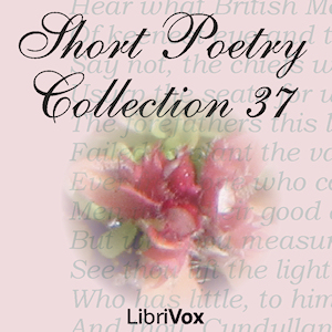 Аудіокнига Short Poetry Collection 037