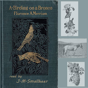 Audiobook A-Birding on a Bronco