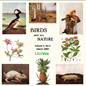 Аудіокнига Birds and All Nature, Vol. V, No 3, March 1899