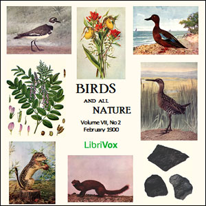 Audiobook Birds and All Nature, Vol. VII, No 2, February 1900