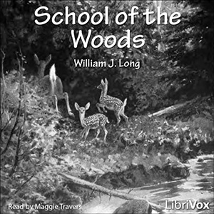 Аудіокнига School of The Woods