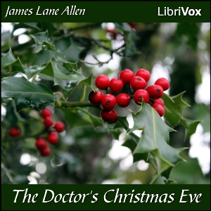 Аудіокнига The Doctor's Christmas Eve