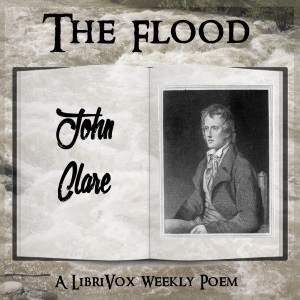 Audiobook The Flood