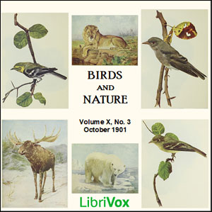 Audiobook Birds and Nature, Vol. X, No 3, October 1901