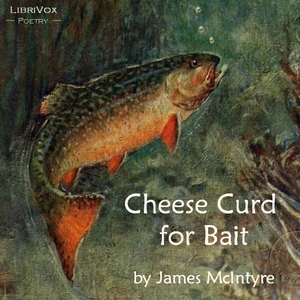 Audiobook Cheese Curd for Bait