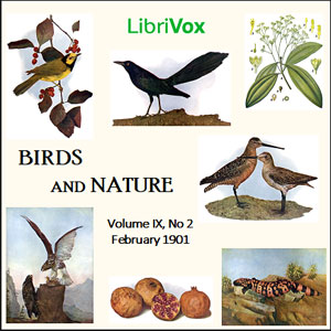 Аудіокнига Birds and Nature, Vol. IX, No 2, February 1901