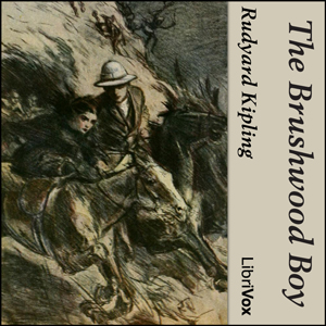 Audiobook The Brushwood Boy