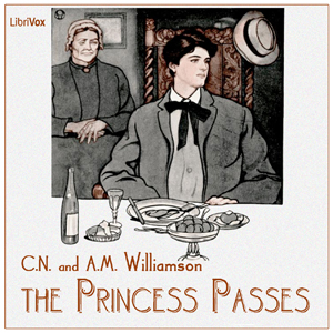 Audiobook The Princess Passes