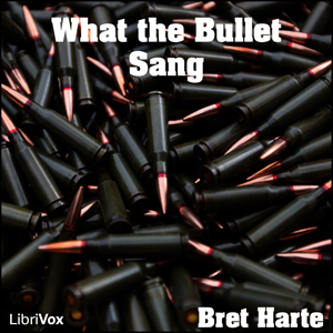 Audiobook What the Bullet Sang