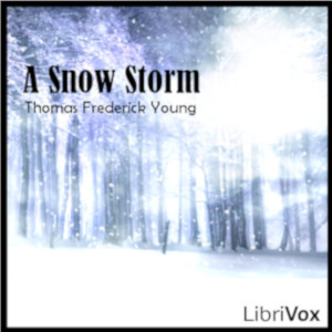 Аудіокнига A Snow Storm