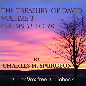 Audiobook The Treasury of David, Vol. 3 (Abridged)