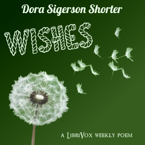 Audiobook Wishes