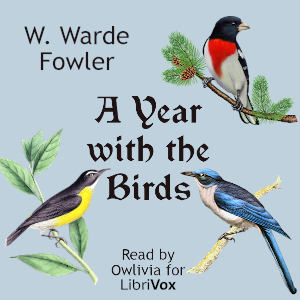 Audiobook A Year with the Birds
