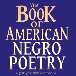 Аудіокнига The Book of American Negro Poetry