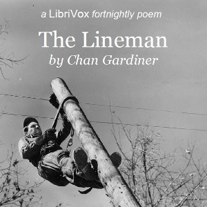 Audiobook The Lineman