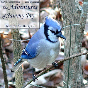 Audiobook The Adventures of Sammy Jay