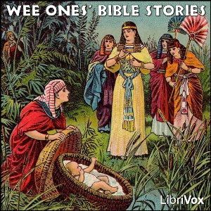 Аудіокнига Wee Ones' Bible Stories