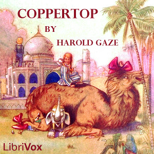 Audiobook Coppertop