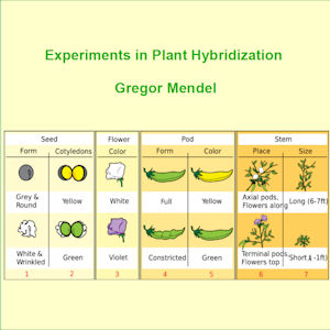 Аудіокнига Experiments in Plant Hybridisation