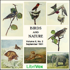 Аудіокнига Birds and Nature, Vol. X, No 2, September 1901