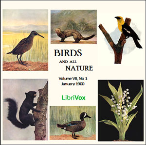 Audiobook Birds and All Nature, Vol. VII, No 1, January 1900