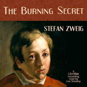 Audiobook The Burning Secret